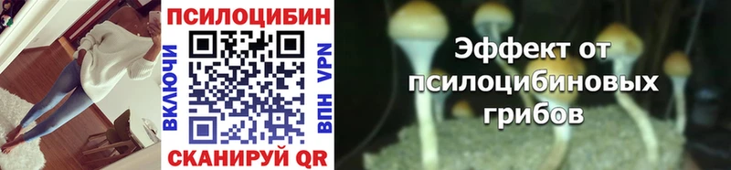 Псилоцибиновые грибы Magic Shrooms Купить закладки Вышний Волочёк